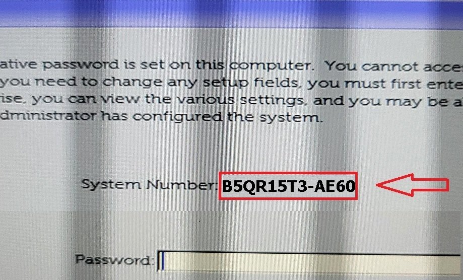Dell AE60 Bios Password reset