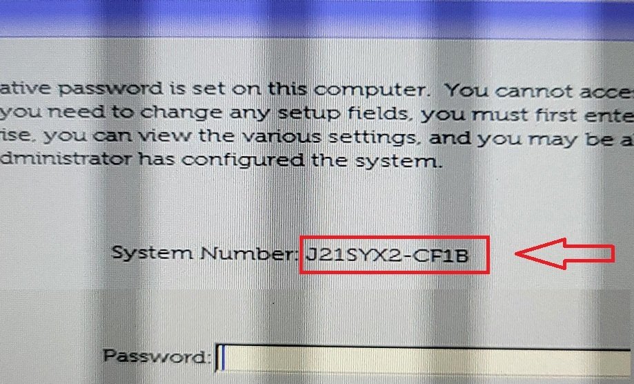 Dell CF1B Bios Password reset