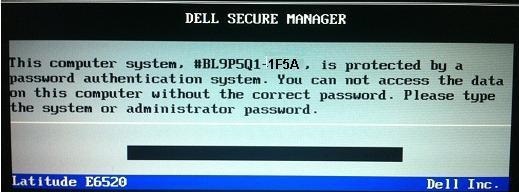 Dell 1F5A Bios password reset